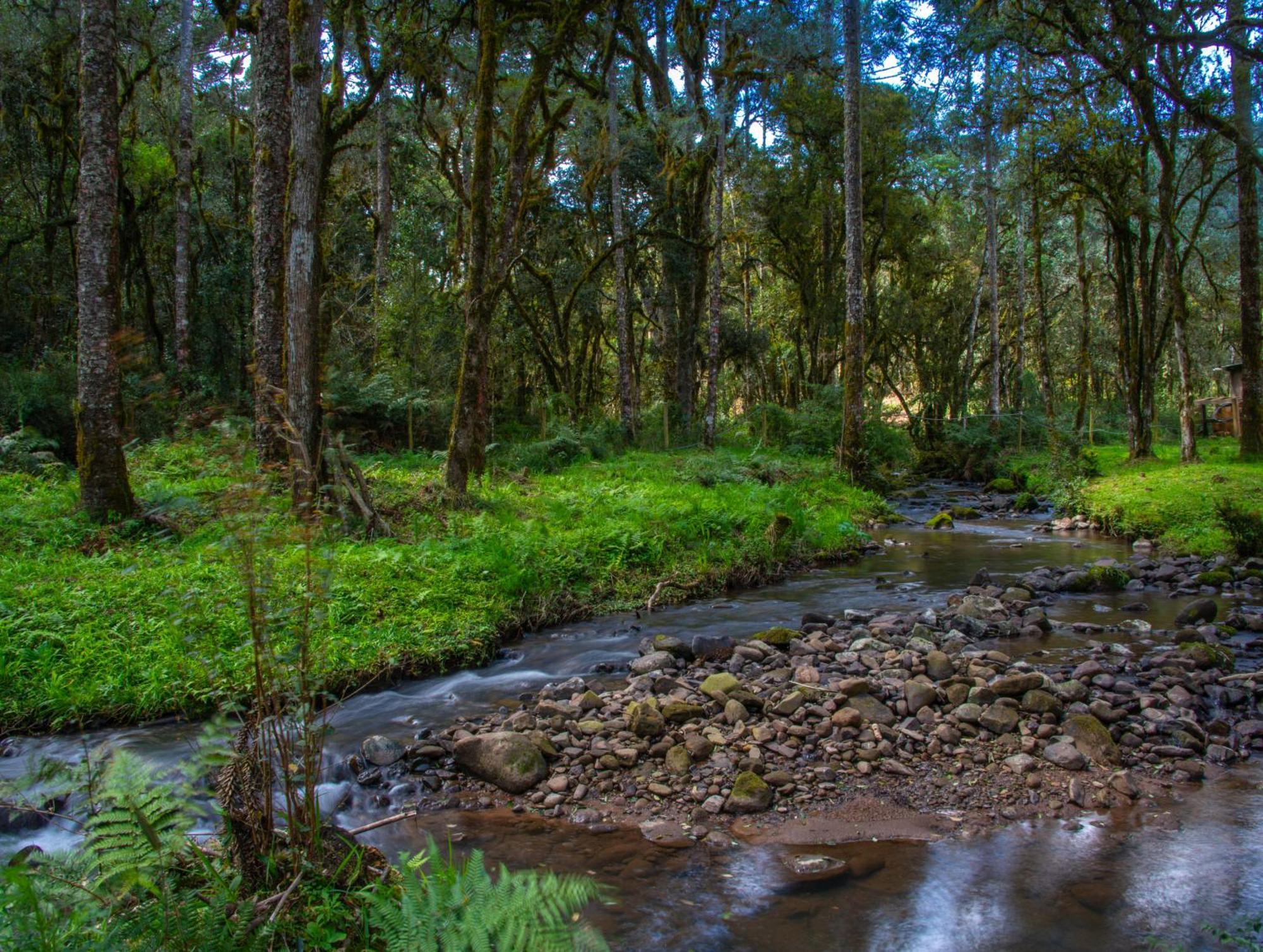 Вилла Refugio Tres Catarinas Урубиси Экстерьер фото